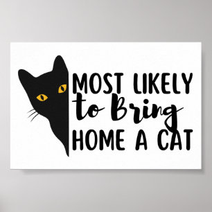 Most Likely To Bring Home A Cat Poster