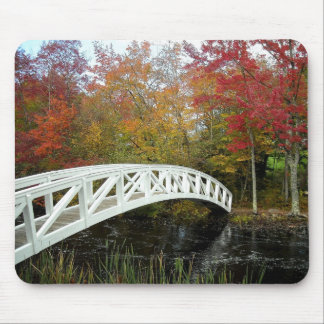 Most Photographed Spot Mouse Pad