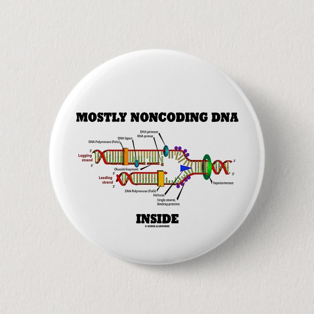 Mostly Noncoding DNA Inside (DNA Replication) 6 Cm Round Badge (Front)