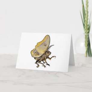 Moth Card