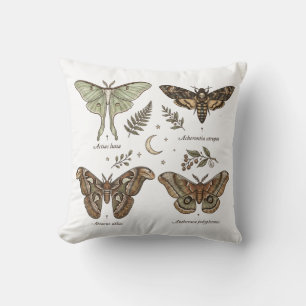 Moth Collection Vintage Entomology Dark Cottagecor Cushion