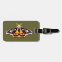 Moth Insect Art Goblincore Saturnia Witchy Green