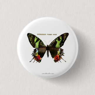 Moth: Madagascan Sunset Moth 3 Cm Round Badge