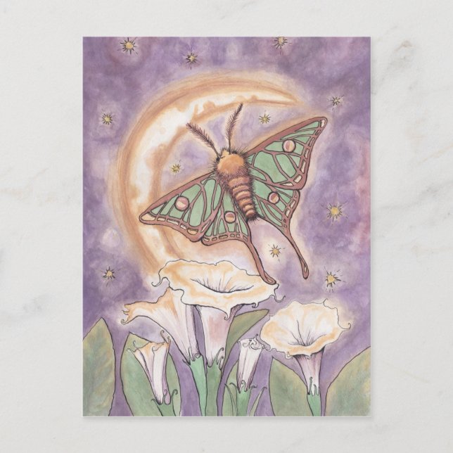 Moth & Moonflowers Postcard (Front)