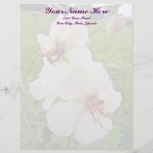 Moth Mullein Wildflower Letterhead Template