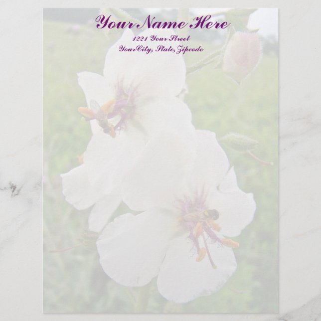 Moth Mullein Wildflower Letterhead Template (Front)