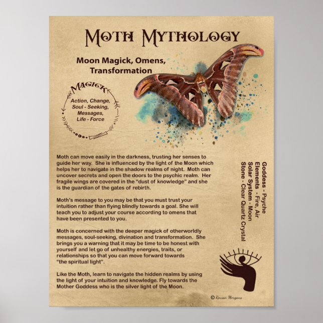 MOTH MYTHOLOGY POSTER (Front)