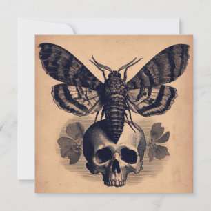 Moth on Skull Antique Goth Horror Illustration Card
