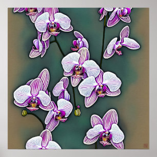 Moth Orchid - Canvas Art Print