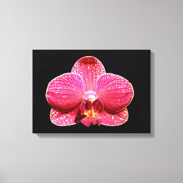 Moth Orchid Canvas Print (Front)