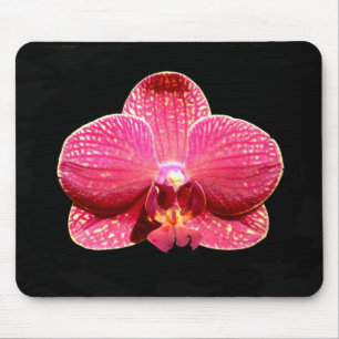 Moth Orchid Mouse Mat