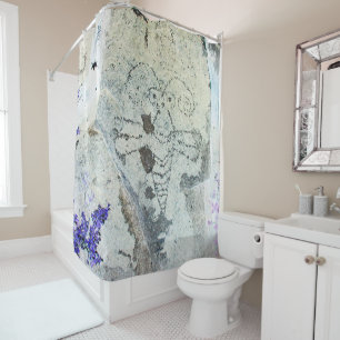 Moth Petroglyph Three Rivers Petroglyph Site Shower Curtain