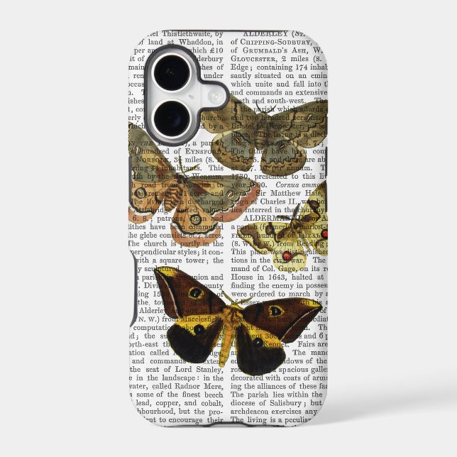 Moth Plate 4 (Back)