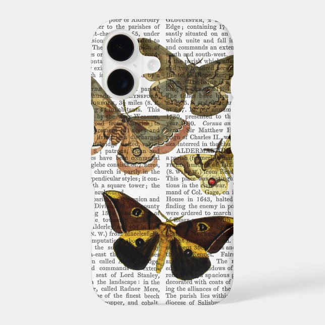 Moth Plate 4 (Back)