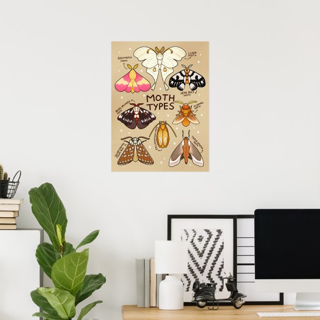 Moth Types Poster (Home Office)