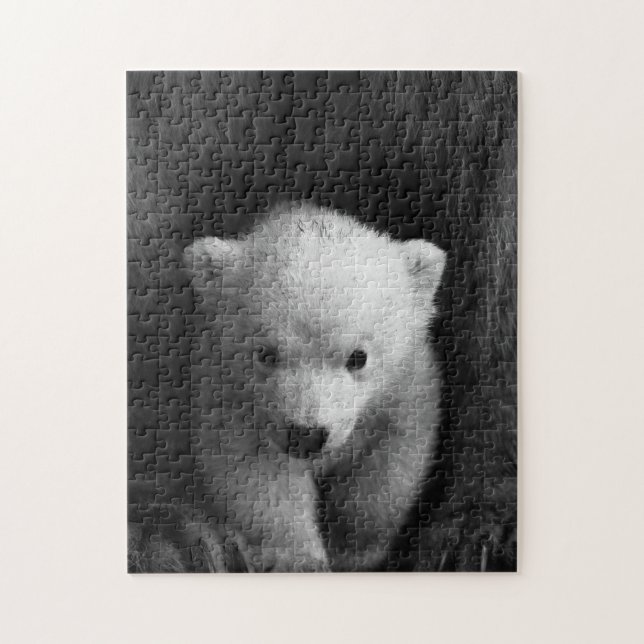 Mother and Baby Animal Bear Photography Jigsaw Puzzle (Vertical)