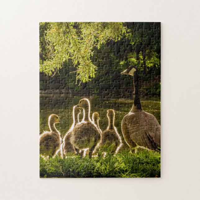 Mother and Baby Animal Duck Photography Animal Jigsaw Puzzle (Vertical)