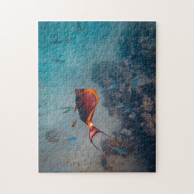 Mother and Baby Animal Fish Photography Animal Jigsaw Puzzle (Vertical)