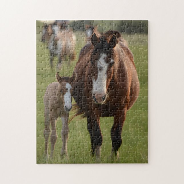 Mother and Baby Animal Horse Photography Animal Jigsaw Puzzle (Vertical)
