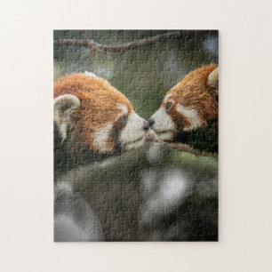Mother and Baby Animal Red Bear Photography Jigsaw Puzzle
