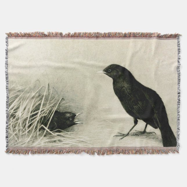 Mother and baby blackbirds throw blanket (Front)