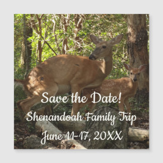 Mother and Baby Deer at Shenandoah National Park