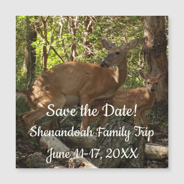 Mother and Baby Deer at Shenandoah National Park (Front)