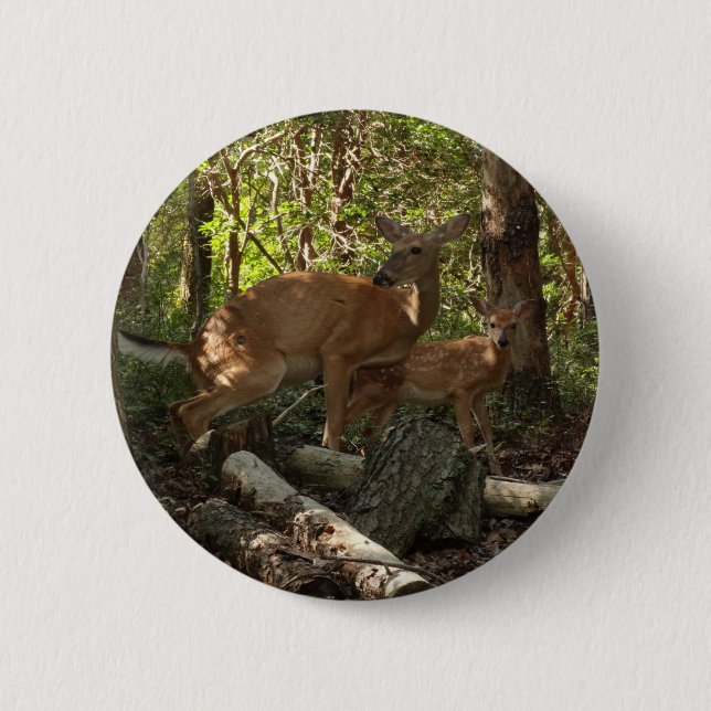 Mother and Baby Deer at Shenandoah National Park 6 Cm Round Badge (Front)