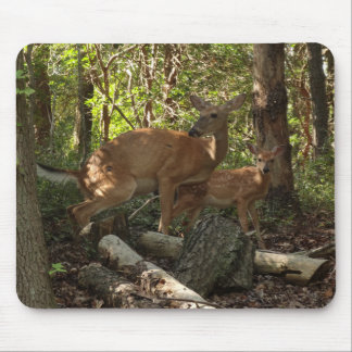 Mother and Baby Deer at Shenandoah National Park Mouse Pad