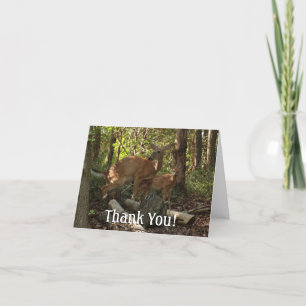 Mother and Baby Deer at Shenandoah National Park Thank You Card