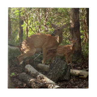 Mother and Baby Deer at Shenandoah National Park Tile