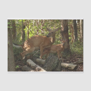 Mother and Baby Deer at Shenandoah National Park Tissue Paper
