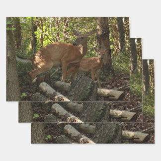 Mother and Baby Deer at Shenandoah National Park Wrapping Paper Sheet