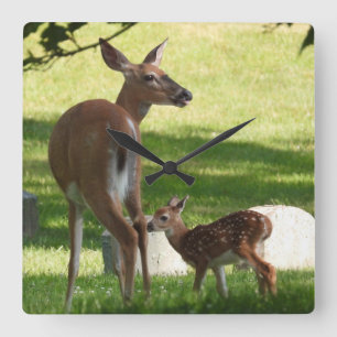 Mother and Baby Deer Square Wall Clock
