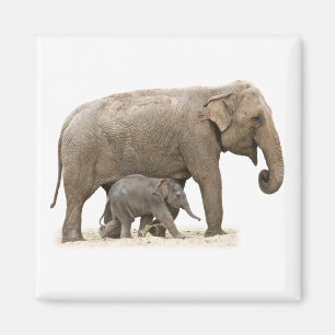 Mother and Baby Elephant Magnet