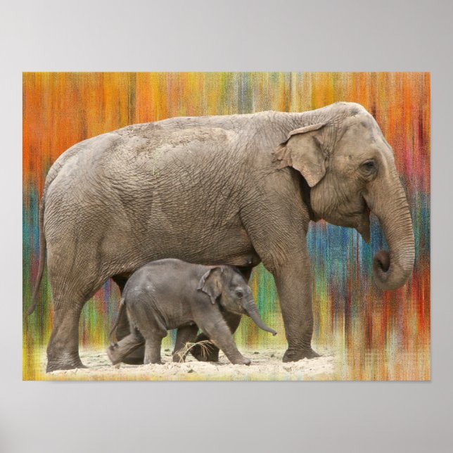 Mother and baby elephant poster (Front)