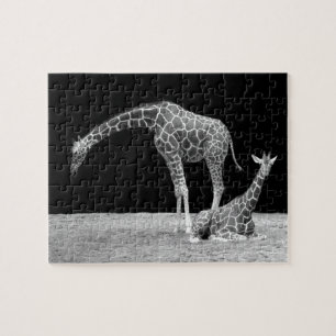 Mother and baby giraffes black and white jigsaw puzzle