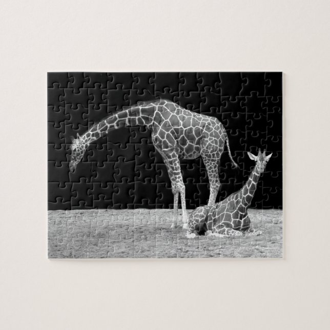Mother and baby giraffes black and white jigsaw puzzle (Horizontal)