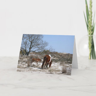 Mother and Baby Horse at Assateague Card