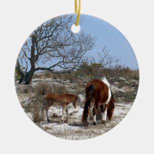 Mother and Baby Horse at Assateague National Park Ceramic Tree Decoration