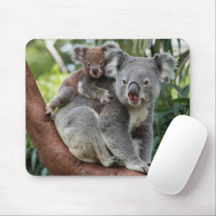 Mother and Baby Koala Bear Mouse Pad