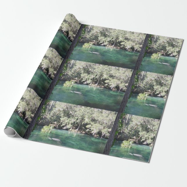 Mother and Baby Manatee Nature Photo Blue Springs  Wrapping Paper (Unrolled)