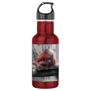 Mother and Baby Orangutan 532 Ml Water Bottle