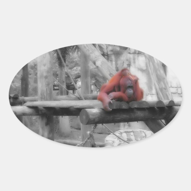 Mother and Baby Orangutan Oval Sticker (Front)