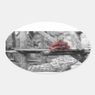 Mother and Baby Orangutan Oval Sticker