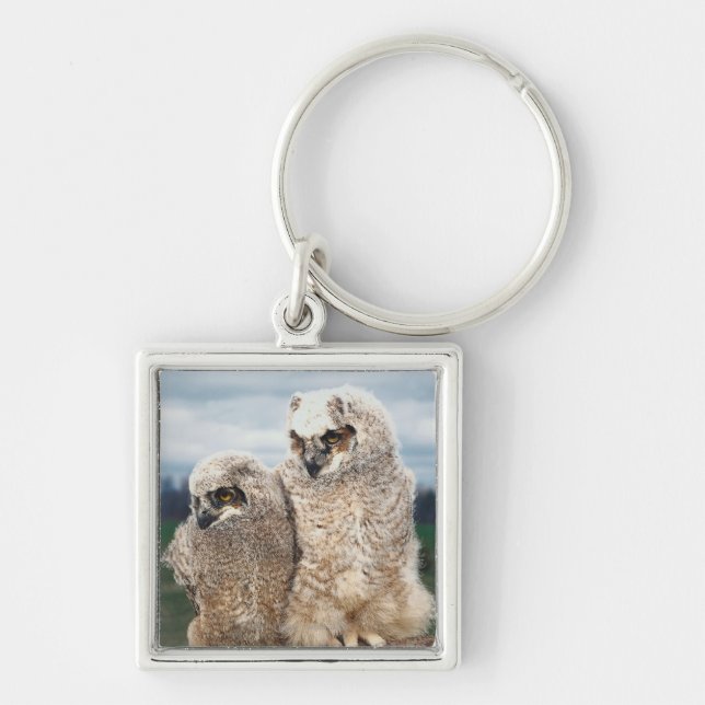 Mother and Baby Owl Key Ring (Front)
