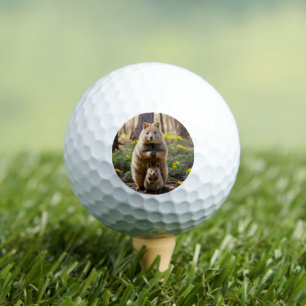 Mother And Baby Quokka, Golf Balls