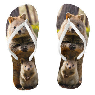 Mother And Baby Quokka, Thongs