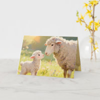 "Mother and Baby Sheep" Greeting Card