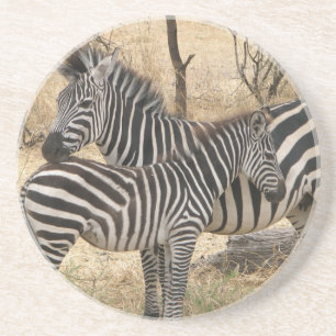 Mother and Baby Zebra  Coaster